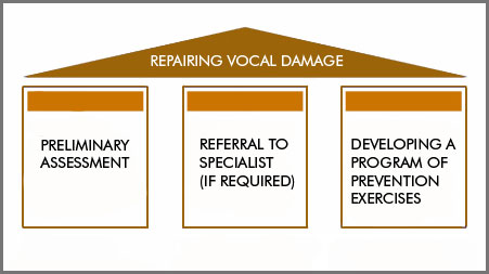 Vocal damage